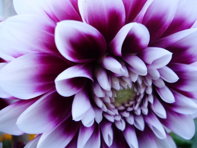 Colour nature
