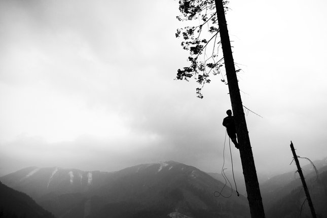 Človek a strom