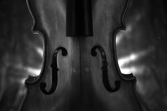 Violin2