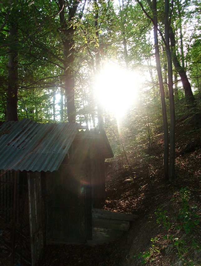 Shed