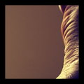 human abstract II