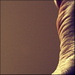 human abstract II