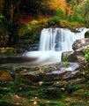 Owengarriff River