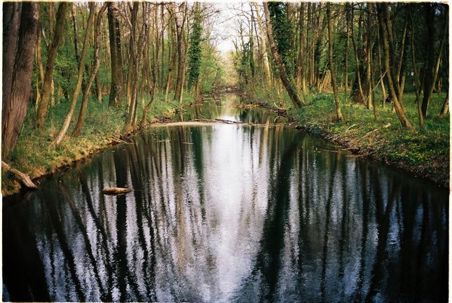 Rusovský park