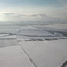 Winter wonderland