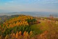 Oranžová, žltá, zelená