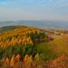 Oranžová, žltá, zelená