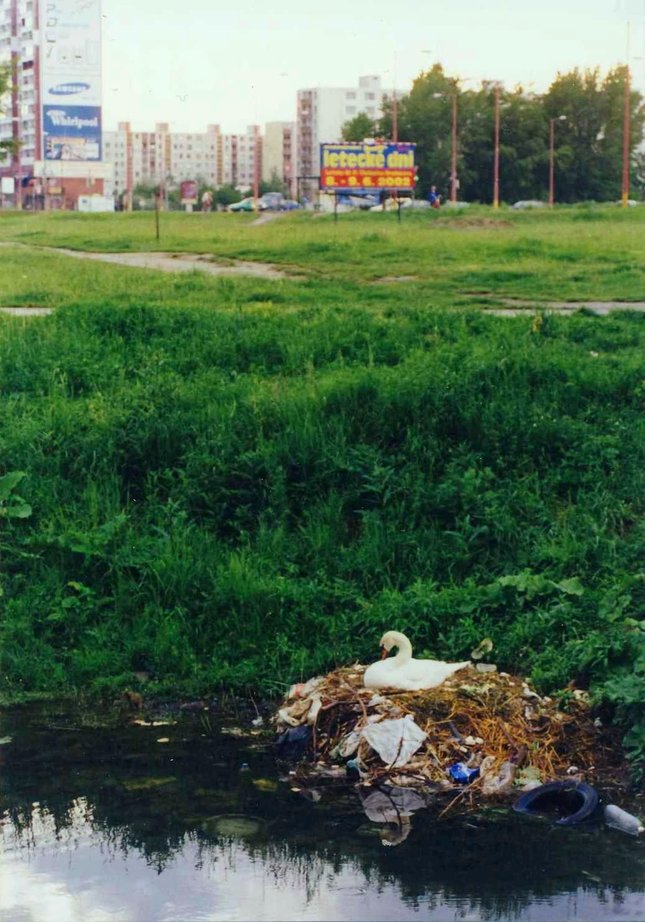 uprostred sídliska