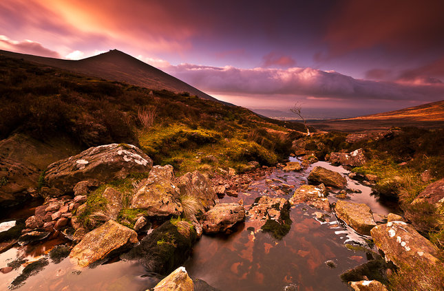 ... Origin of Galtee Dream ...