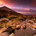 ... Origin of Galtee Dream ...
