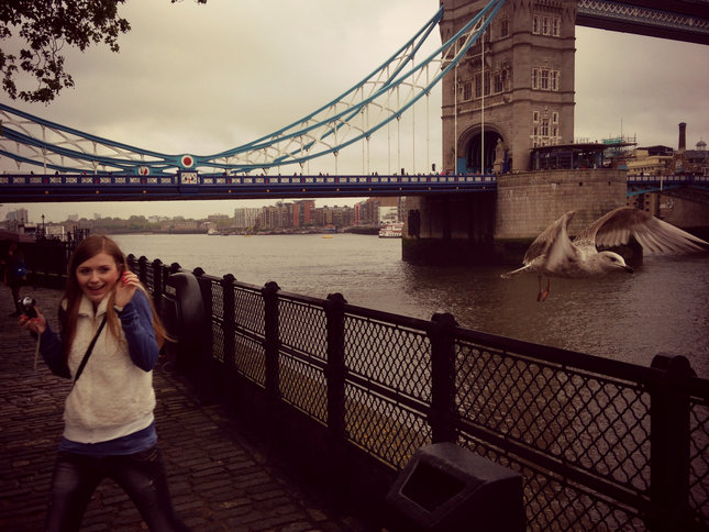 Útok čajky pri Tower Bridge - momentka iphoneom 5