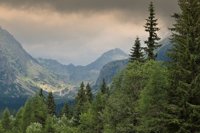 Krajina