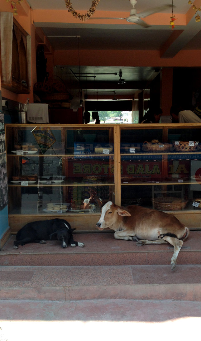 Greman bakery