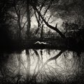 Reflections