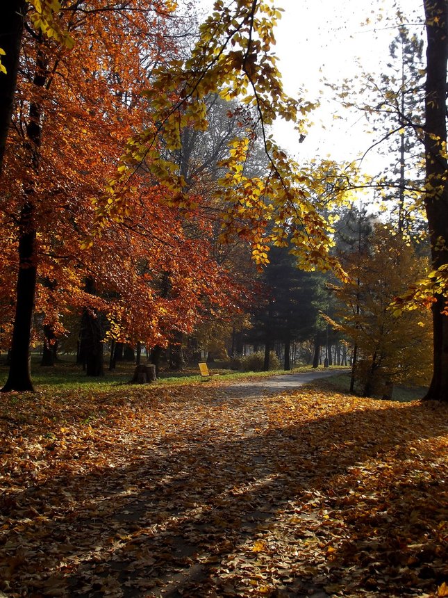 Park