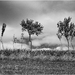 bratia vo vetre