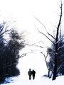 Forever Together