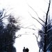 Forever Together
