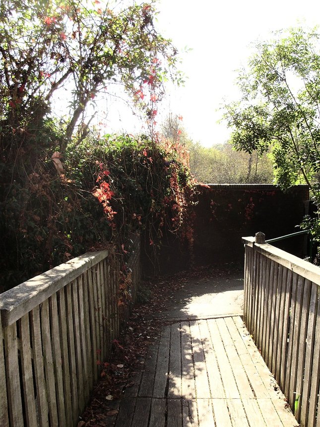 A little bridge