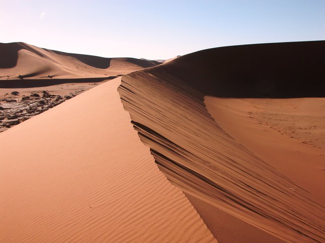 Kúzlo púšte