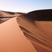 Kúzlo púšte