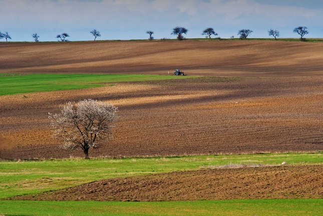 jarná orba