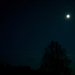 Moonlight