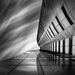 City Shpes I