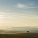 Dreamland