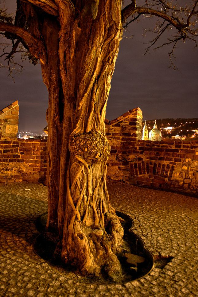 Praha