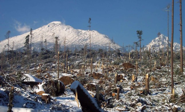 Deň po krutej víchrici v Tatrách