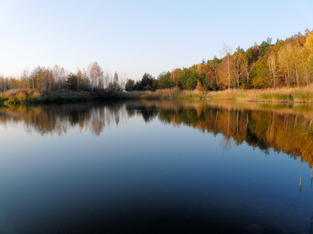 Jeseň II