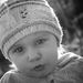 Nicol