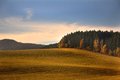 Zlatá