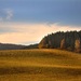 Zlatá