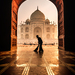 taj mahal cleaner
