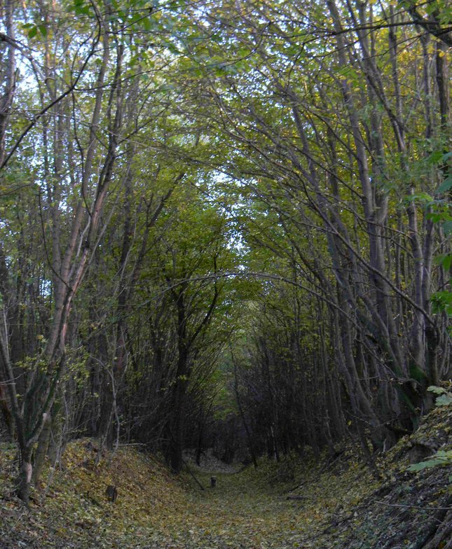 srnčia dolina