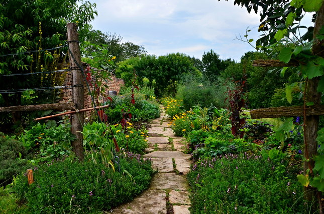 Dedinská záhrada