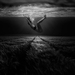 Underwaterdreamland