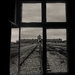 Útek z Birkenau