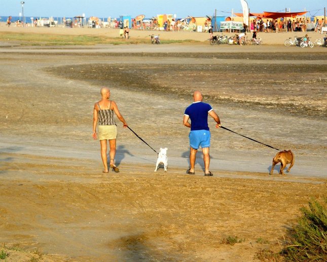 cestou na psiu pláž
