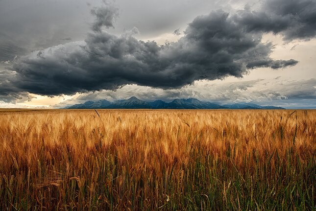 Vysoké Tatry I.
