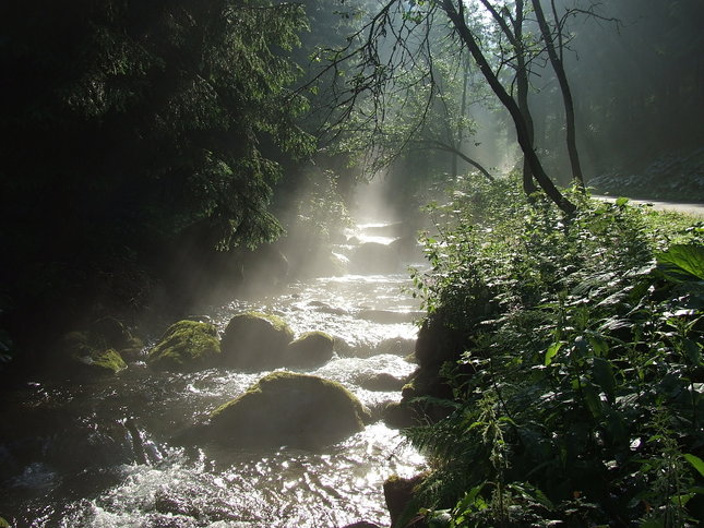 raná hmla