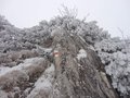Výstup na Choč v predposledný deň roku 2011
