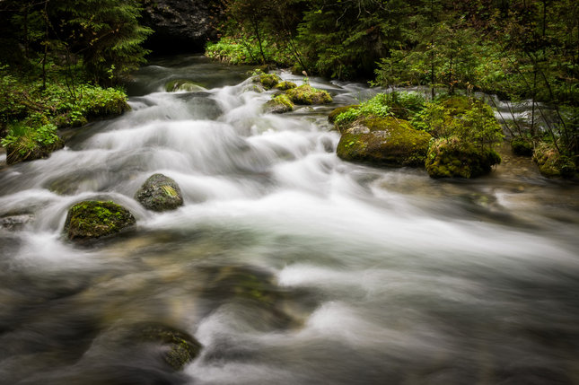 Go with the flow
