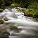 Go with the flow