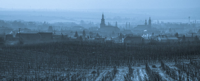 Zima v modranských vinohradoch