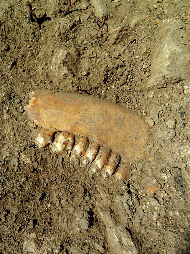 Zem pochovala, archeológia objavila