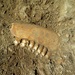 Zem pochovala, archeológia objavila