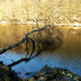 Bratislavské lesy - zákaz